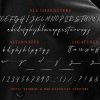 Aesthero - Stylish Signature Script - Image 7