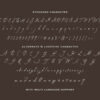 South Assign - Vintage Inspired Font - Image 9