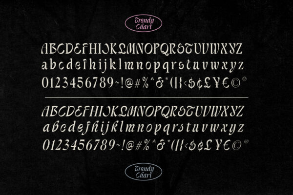 Trendy Chart - Unique Serif - Image 9