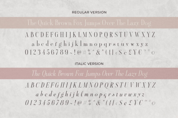 Aesthetic Styles - Tall Serif - Image 9