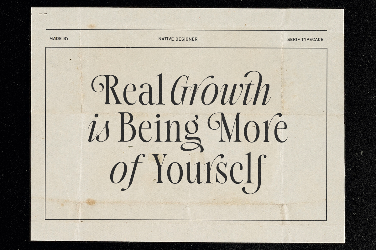 Native Designer - Delicate Serif - Image 3