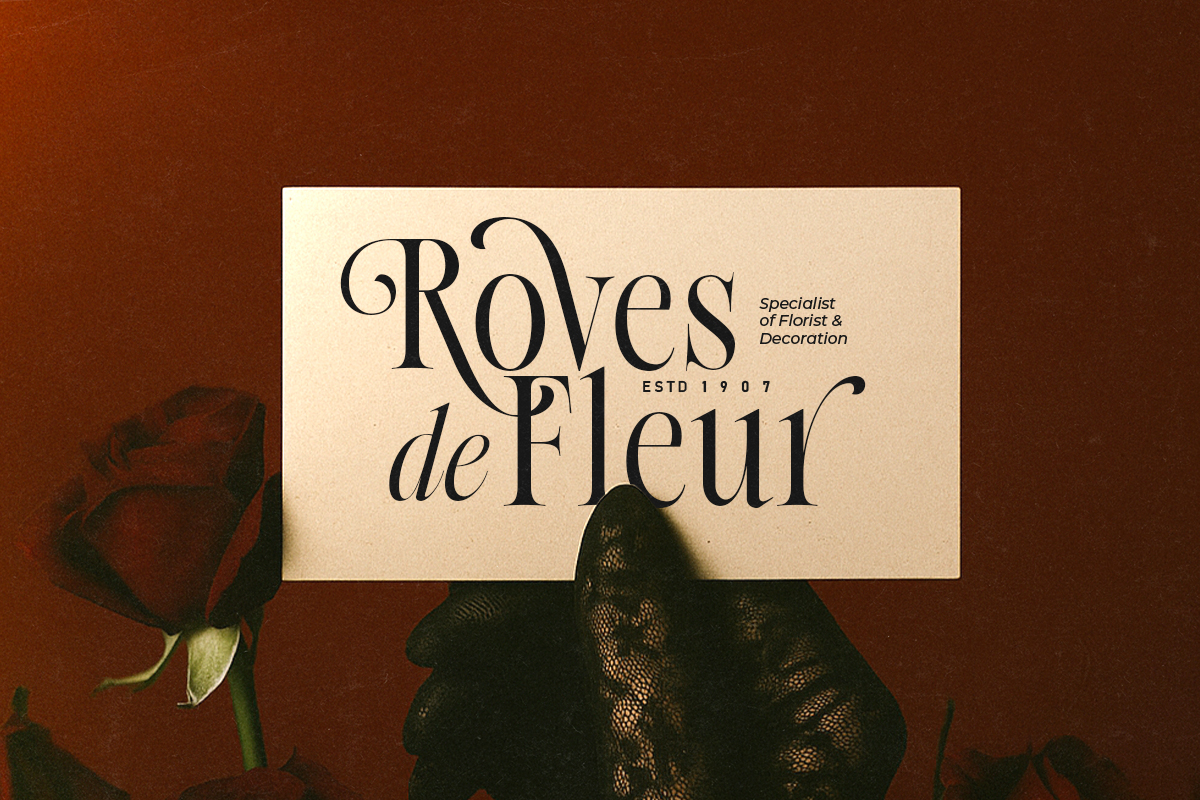 Native Designer - Delicate Serif - Image 6