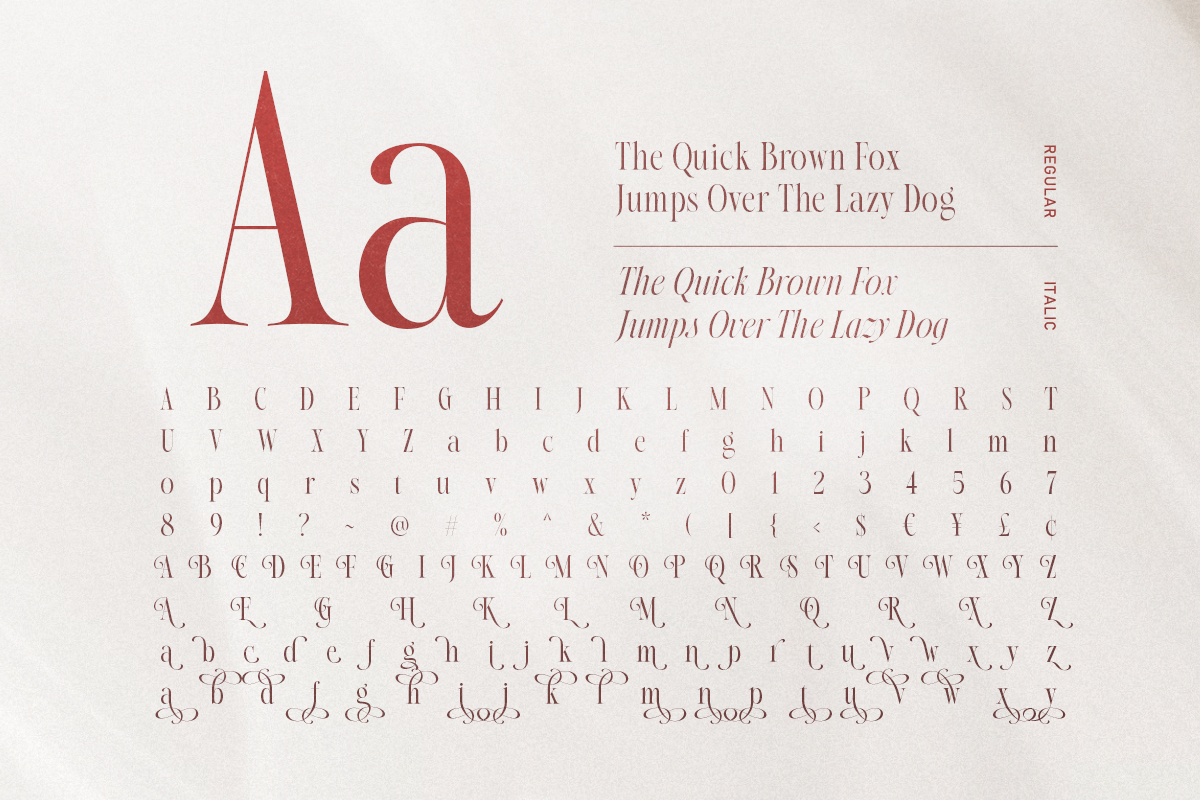 Native Designer - Delicate Serif - Image 9