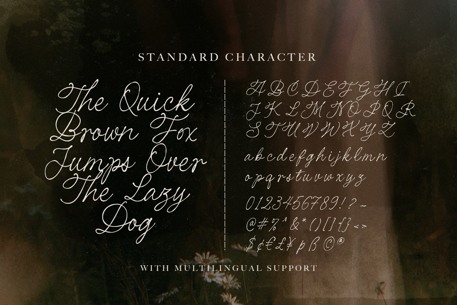 Thirty Pages - Handwritten Script - Image 8